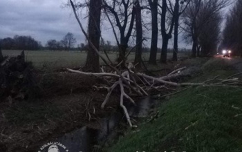 Fákat csavart ki a viharos szél a Balatonnál