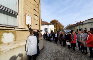 Lezárult a kórházi emlékév