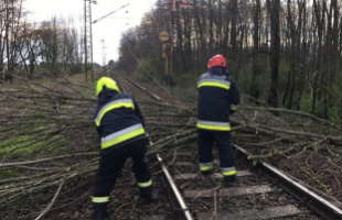Somogyot sem kímélte a hétfői szélvihar