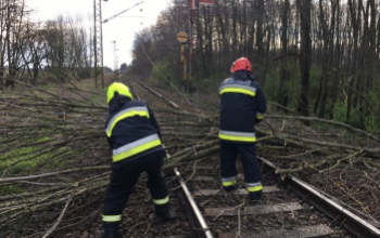 Somogyot sem kímélte a hétfői szélvihar