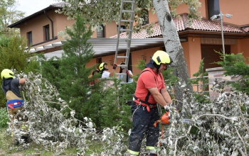 Változatlanul a viharkárok felszámolása ad sok feladatot Siófokon