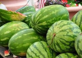 Ellenőrzi az útmenti dinnyéseket a NAV