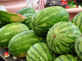 Ellenőrzi az útmenti dinnyéseket a NAV