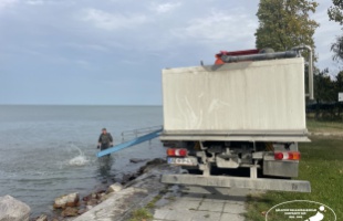 Indul a balatoni haltelepítési szezon – javulhatnak a horgászati esélyek