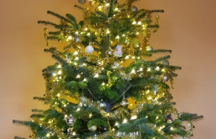 Puzsuék karácsonyfája