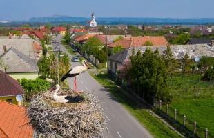 Próbálják megóvni a gólyákat az elektromos hálózattól a Balatonon