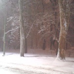 Szabadság Park