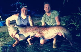 Gigantikus, 47 kilós harcsa akadt horogra Kadarkúton