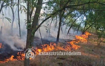 Íme, a múlt hétvége tűzoltói mérlege