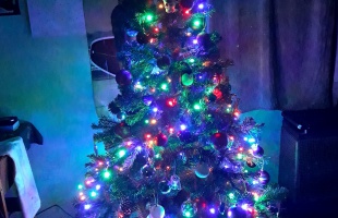 Beáta karácsonyfája