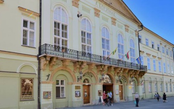 Korlátozott nyitvatartás várható a kaposvári Rippl-Rónai Múzeumban