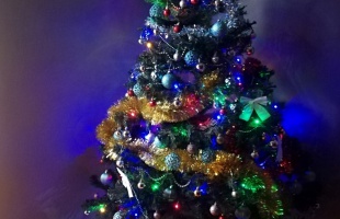 Pál Fanni karácsonyfája