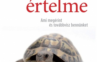 Ami megérint és továbbvisz bennünket