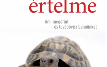 Ami megérint és továbbvisz bennünket