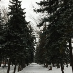 Jutai út melleti park.