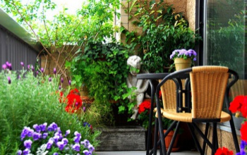Virágosítaná a teraszt? Előbb ide klikkeljen néhány praktikus tanácsért