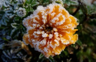 Fagyos éjszakákkal indul a november