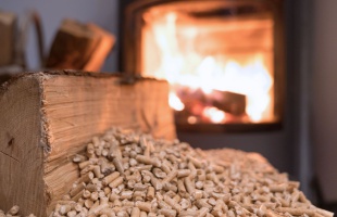 „Ne fűtsünk olyan fával, amin tegnap még rigó fütyült”