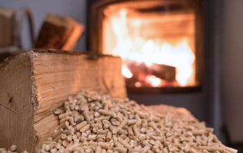 „Ne fűtsünk olyan fával, amin tegnap még rigó fütyült”