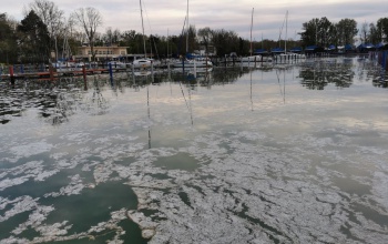 Fehér szigetek a Balatonban