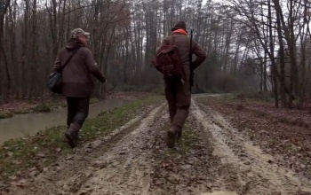 A kaszói vaddisznók nyomában - videó