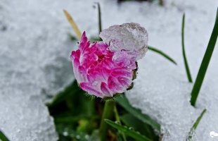 Meglepő? Visszatér a csapadékos, hideg téli idő