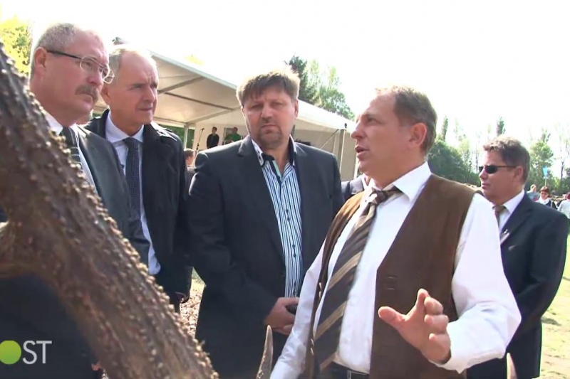 KÁNaán, a legnagyobb állatvásár