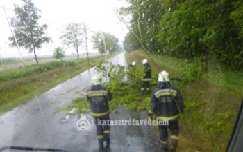 Kidőlt fát távolítottak el a nagyatádi tűzoltók