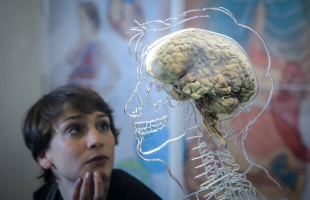 Ezért nem voltak hatásosak a korábbi Alzheimer-gyógyszerek