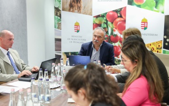 Agrárminiszter: uniós tranzittámogatással lehetne kezelni az ukrán gabonaimport piaci nehézségeit