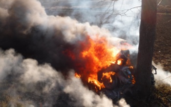 Fának hajtott és kigyulladt egy autó a 67-esen - a sofőr elhunyt