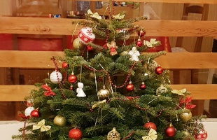 Erzsi és Jázmin karácsonyfája