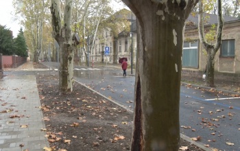 Szabad a pálya: végigautózható a Bajcsy-Zsilinszky utca!