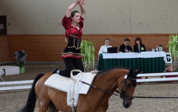 Kaposvári lovastorna sikerek Pezinokban