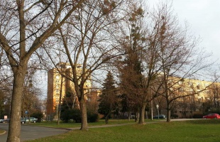 Hűvöskés, de jó idő várható március 15-én is