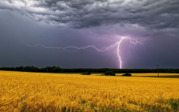 A növényeknek jól jött az eső