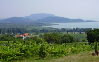Rekord meleget mértek keddre virradóra a Balatonnál