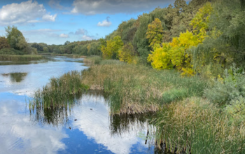 A Balaton 5 milliárdos kulcseleménél dolgoznak a tó érdekében