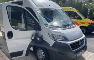 Szarvast gázolt egy kisbusz Nagybajomnál