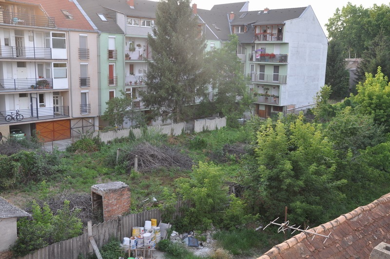 parlagfű