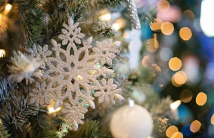 Fenyőből karácsonyfa – Közös díszítésre várják az Északnyugati városrész lakóit