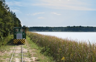 Fokozatosan indul újra az erdei turizmus Somogyban