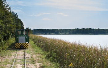 Fokozatosan indul újra az erdei turizmus Somogyban