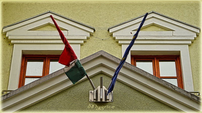 zászló