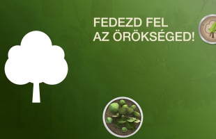 Fedezd fel az örökséged! – Erdőismereti vetélkedő középiskolásoknak