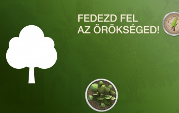 Fedezd fel az örökséged! – Erdőismereti vetélkedő középiskolásoknak