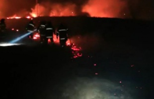 Hat szabadtéri tűzhöz riasztották a tűzoltókat a hét elején