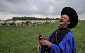 Szent György-napi vajákosságok és boszorkányosságok Somogyban