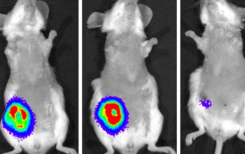 Magyar áttörés a rák elleni harcban – ígéretes eredményeket hozott a HUN-REN és az ELTE fejlesztése