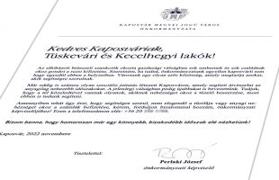 Segítséget ajánlottak Kaposvár önkormányzati képviselői